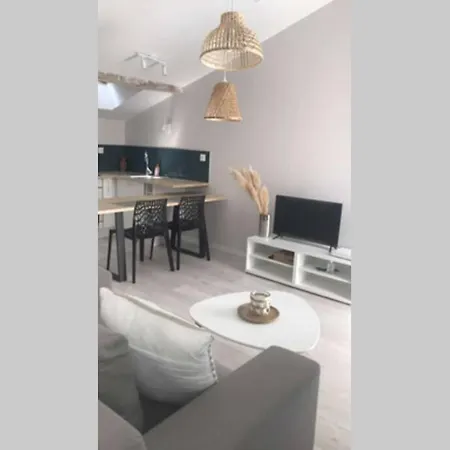 Apartament ,centre Historique , Entree Autonome *